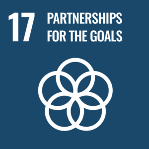 E-WEB-Goal-17-1024x1024