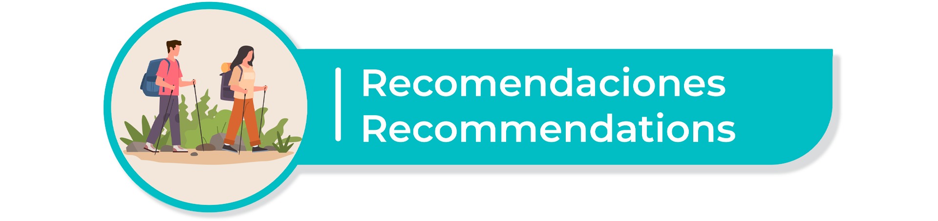 Recomendaciones